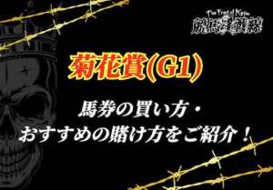 菊花賞 買い方サムネイル