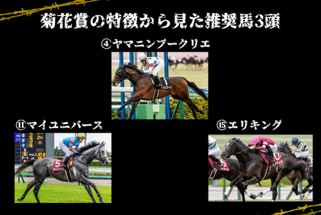 菊花賞 特徴から見た推奨馬