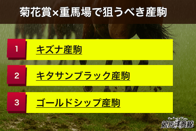 菊花賞重馬場で狙うべき産駒