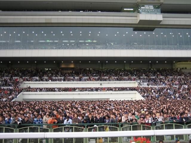 菊花賞の会場画像