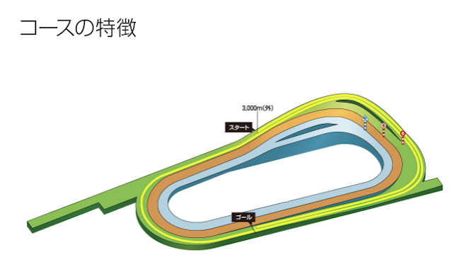 京都競馬場3,000m特徴