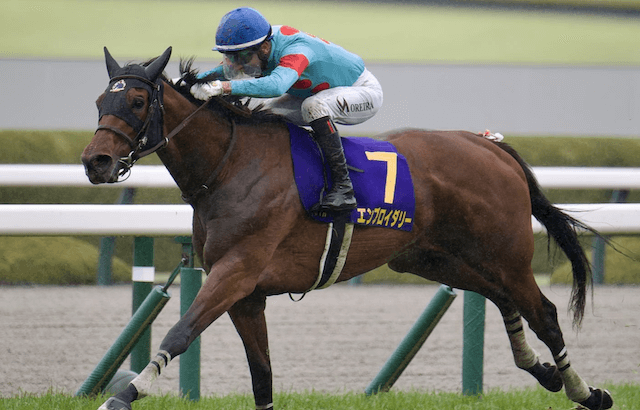 競馬戦線AIが選んだ秋華賞の危険な人気馬_⑪エンブロイダリー