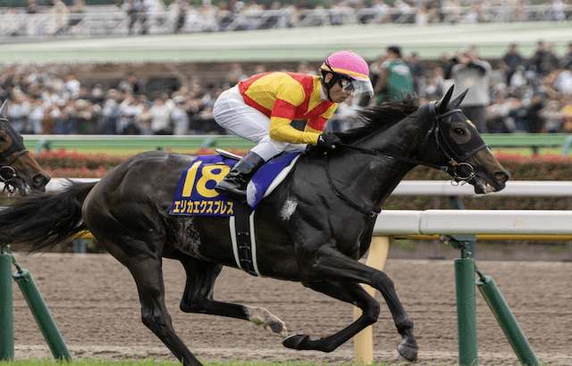 競馬戦線AIが選んだ秋華賞の有力馬_エリカエクスプレス