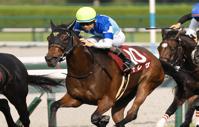 競馬戦線AIが選んだ秋華賞の穴馬_テレサ