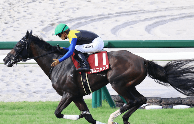 競馬戦線AIが選んだ秋華賞の有力馬_カムニャック