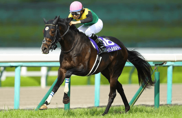 タイトルホルダー