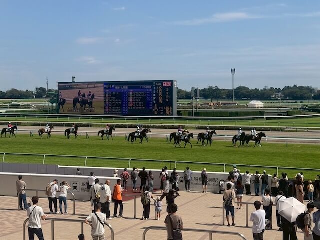 競馬予想で勝つためのコツをご紹介:天候の良い日で勝負する
