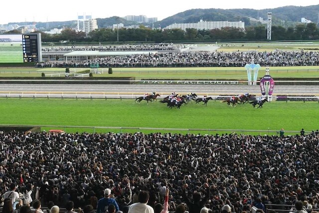 天皇賞秋_東京競馬場画像