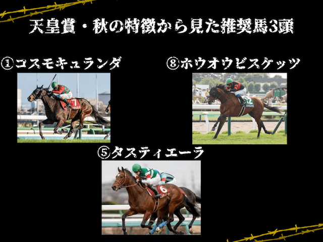 天皇賞秋__推奨馬