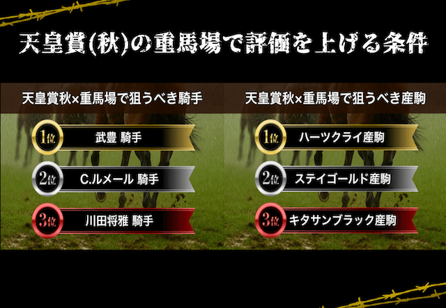 天皇賞・秋重馬場評価条件