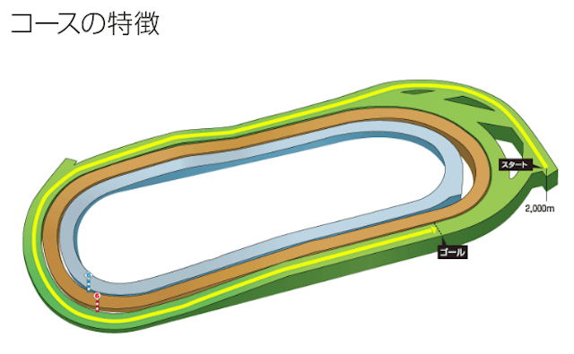 東京競馬場の特徴_