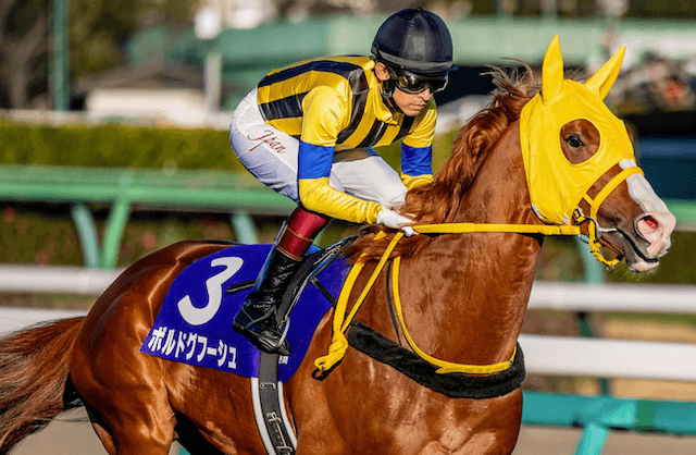 ボルドグフーシュ