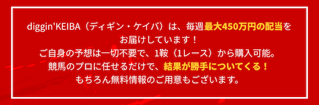 ディギン競馬の特徴