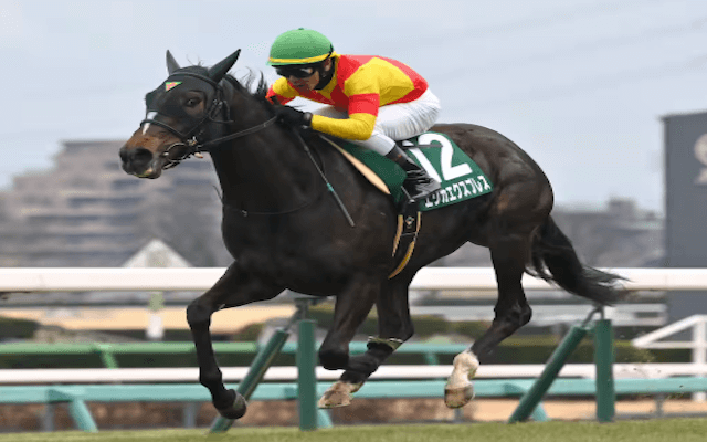 エリカエクスプレス