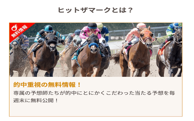 ヒットザマークの特徴