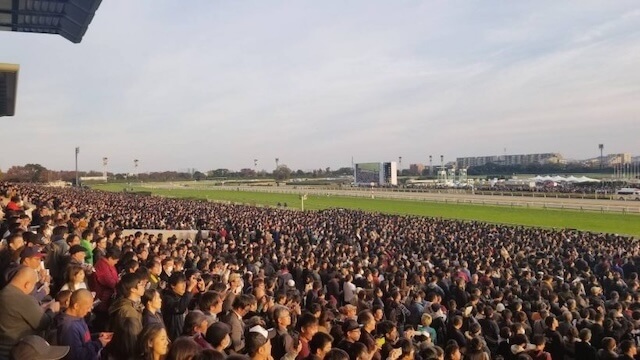 ジャパンカップの会場スタンド画像