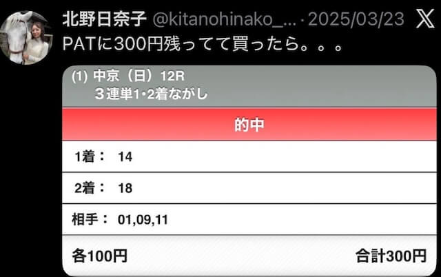 北野日奈子_競馬予想_的中実績1