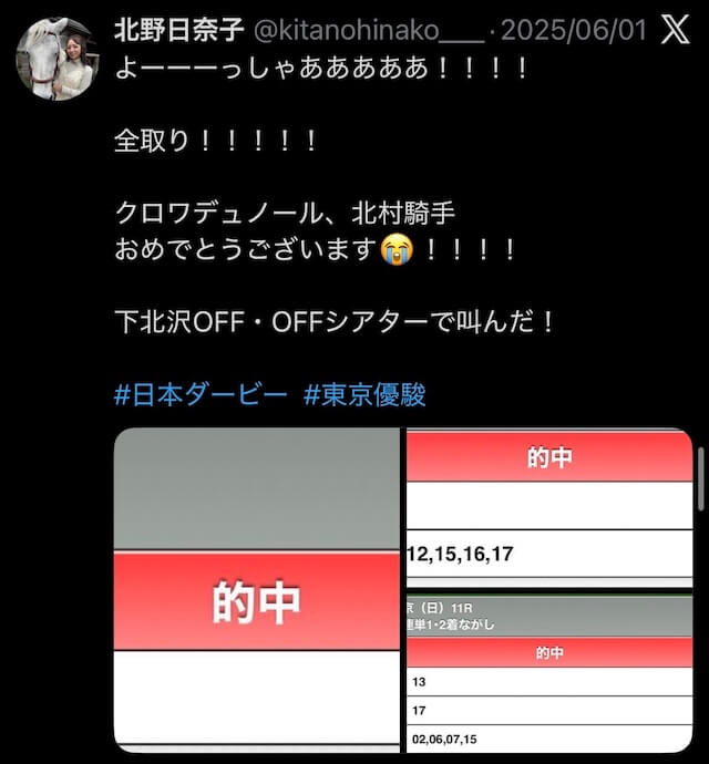 北野日奈子_競馬予想_的中実績2