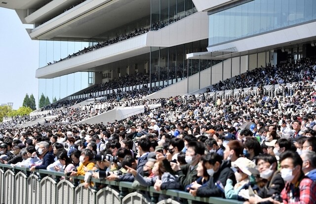 マイルチャンピオンシップ スタンド画像