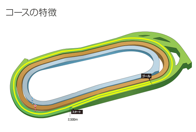 東京競馬場2500m特徴