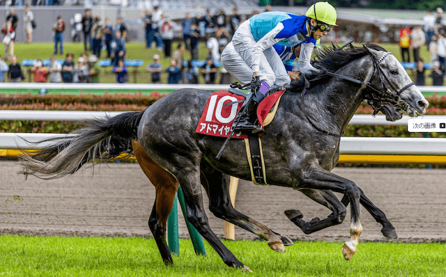 アドマイヤテラ