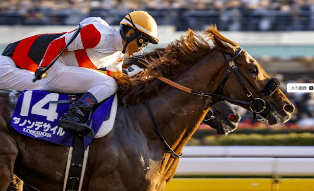 ダノンデサイル