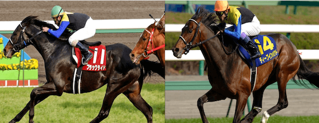 ディープインパクト×ブラックタイド