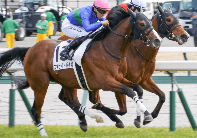 エキサイトバイオ