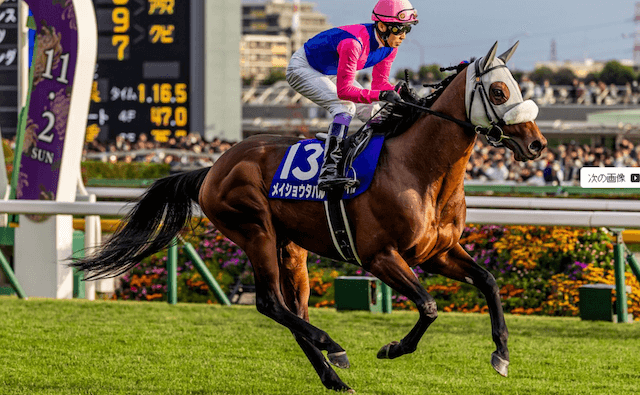 メイショウタバル