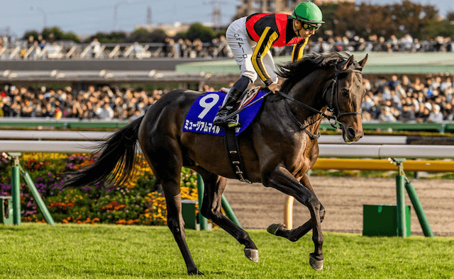 ミュージアムマイル