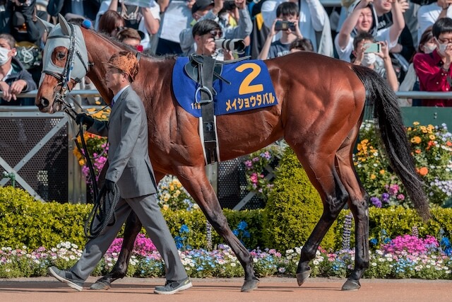 有馬記念_サイン_メイショウタバル