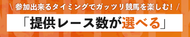新しい競馬のカタチ_特徴