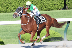 セラフィックコール