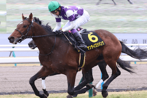 サンライズジパング