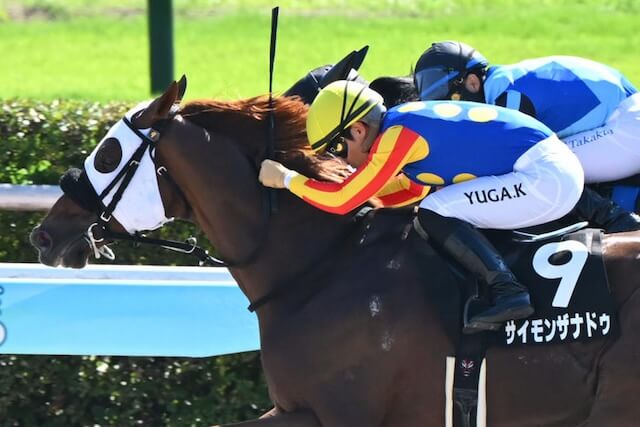 サイモンザナドゥ