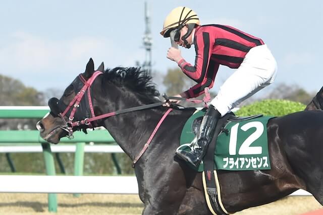 ブライアンセンス