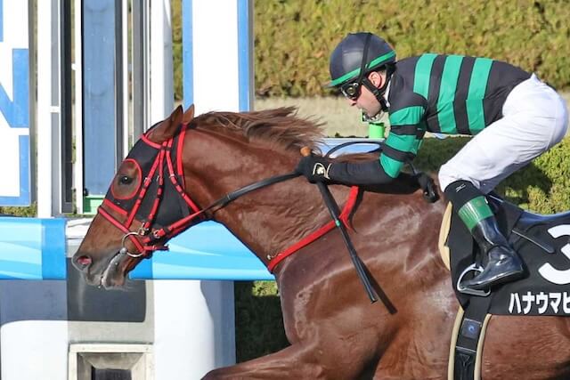 ハナウマビーチ