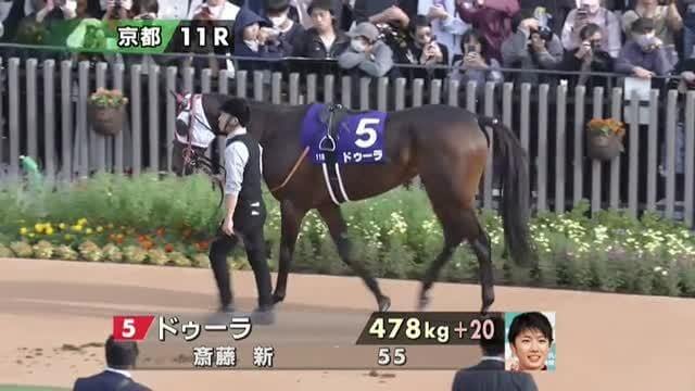 パドックのライブ映像