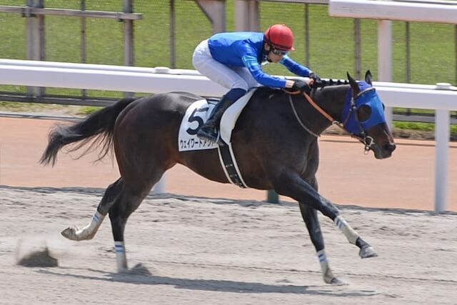 ウェイワードアクト