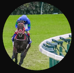 スクリーンショット 2026-01-08 15.04.27