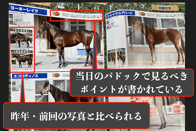 競馬ギャロップの誌上パドック