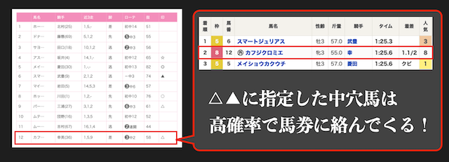 かよちんの予想の特徴・強み