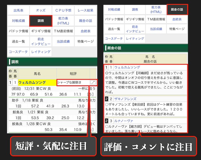 競馬ブックスの注目コンテンツ