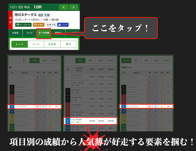 WIN!競馬の項目別成績