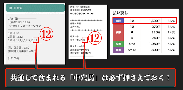 予想サイトが共通して押さえた中穴馬の好走