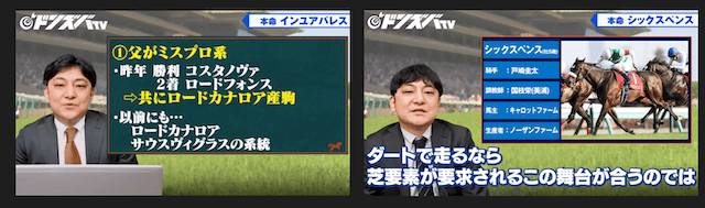 境和樹のYouTube動画