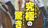 勝ち馬サプライズウルトラ　アイコン