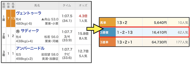 超すごい競馬の無料予想（20260315）