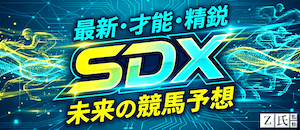 SDX画像