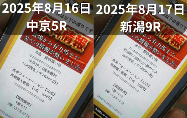 本命　無料予想2